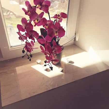 Apartman Angela 公寓 *
